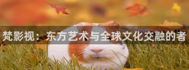 奇优影院手机影院在线